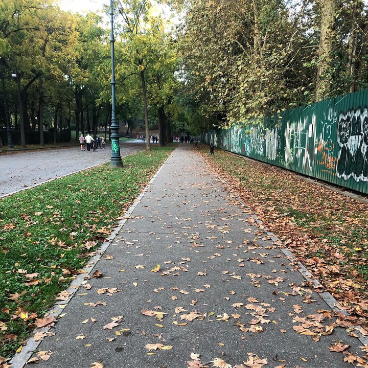 Turin