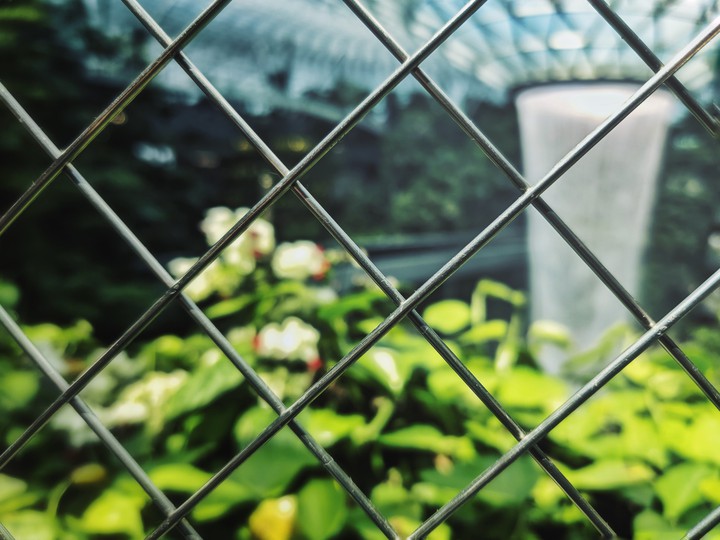 Grass is always greener on the other side