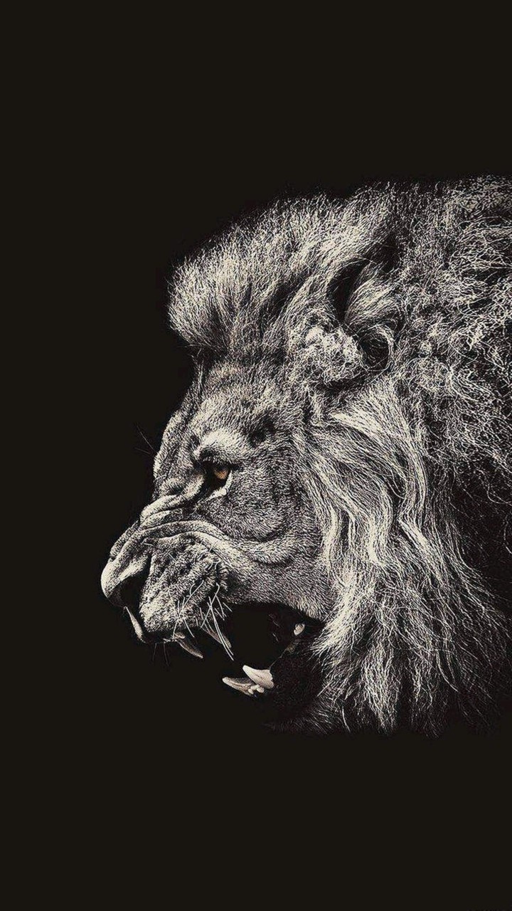 lion