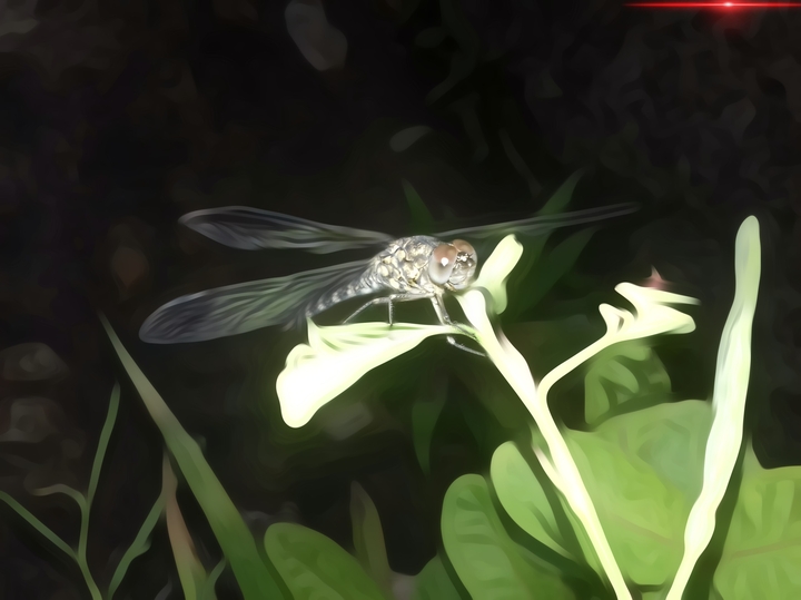 dragonfly on tree