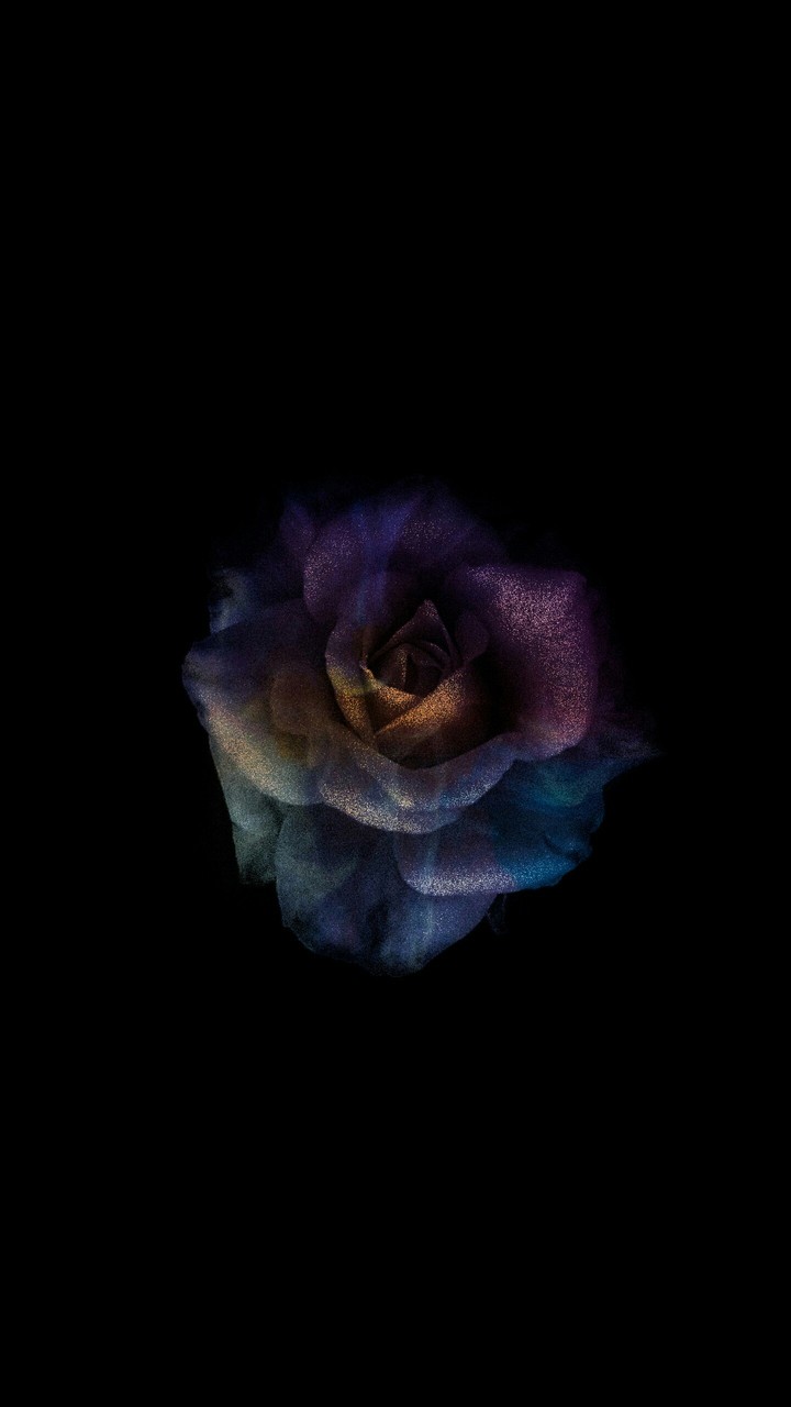 colorfulrose