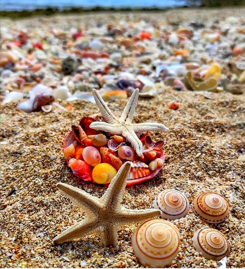 美食, jewellery桌布