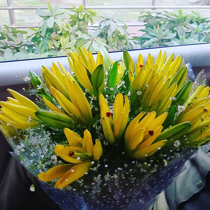 yellow flowera