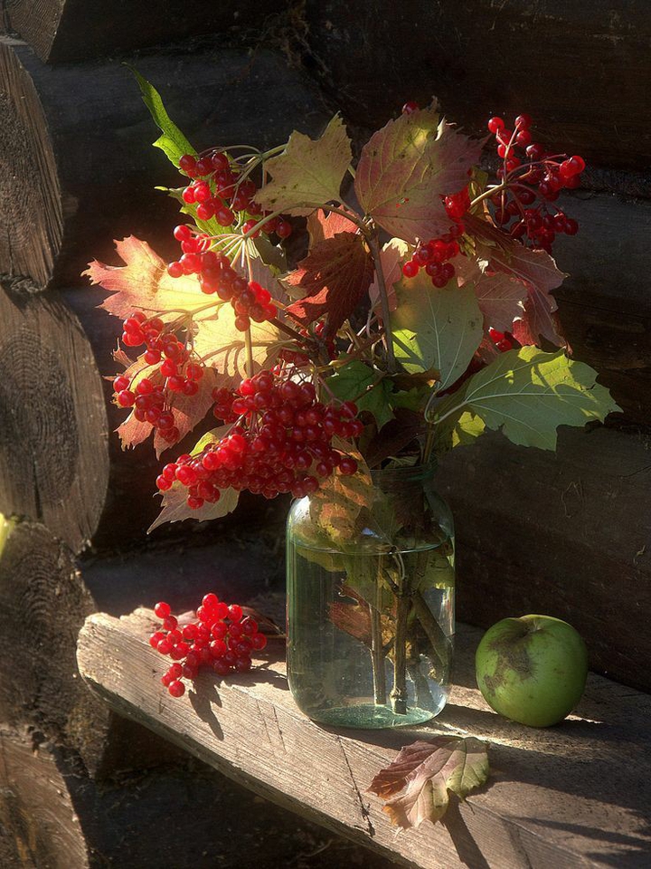 Autumn rays