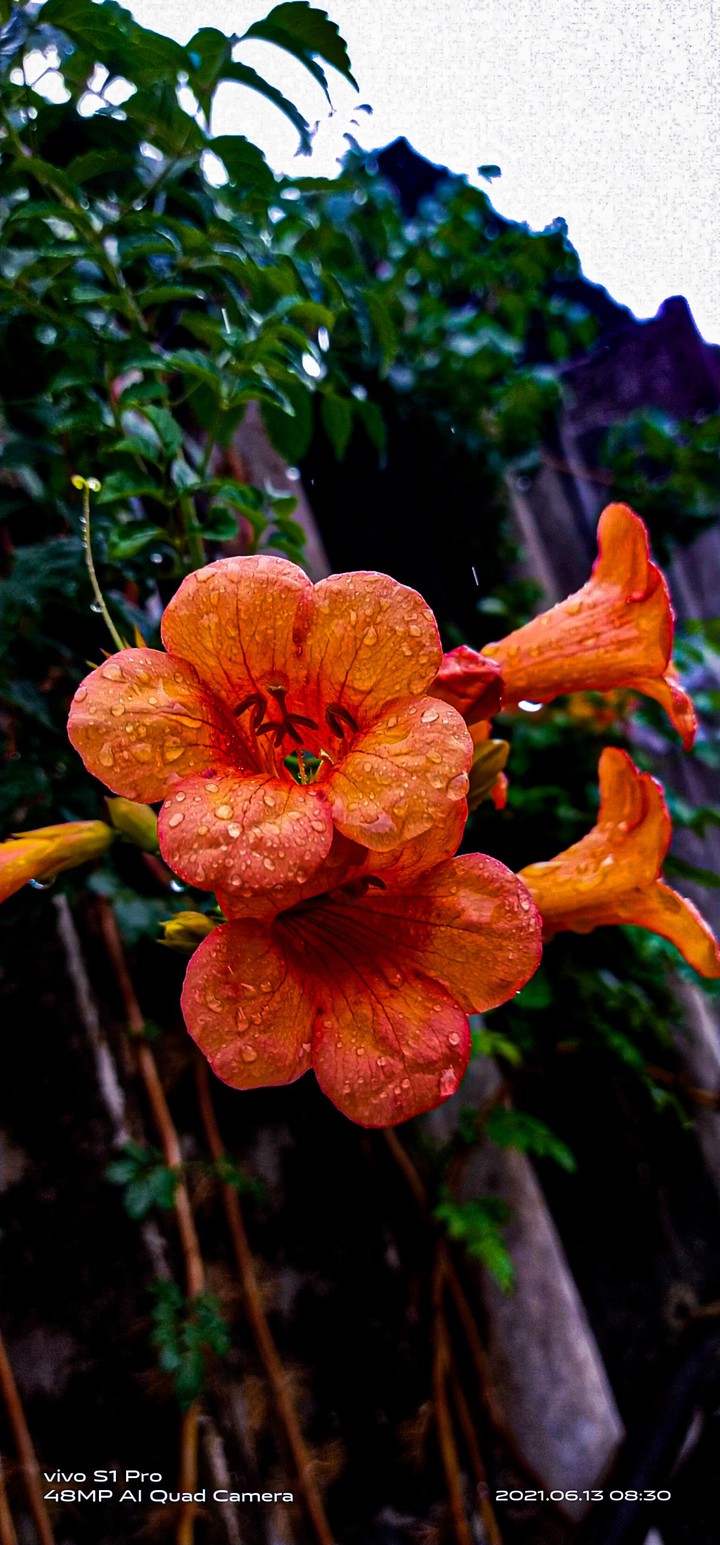 my photography today
