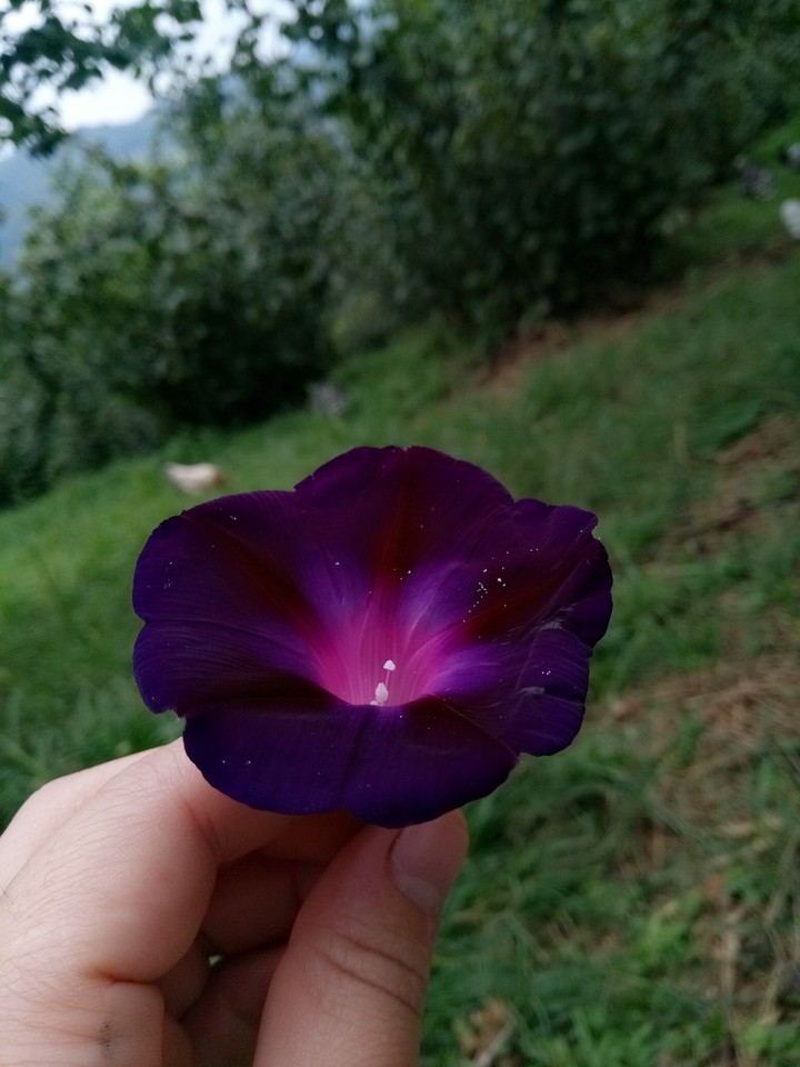 ❤