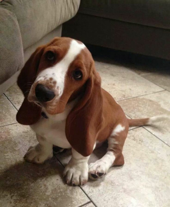 ❤️ ❤️