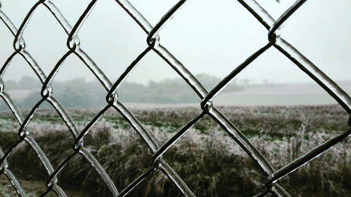 fence
