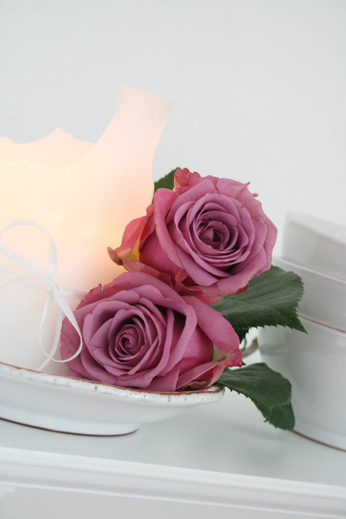 rose for you