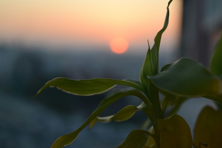 sunset