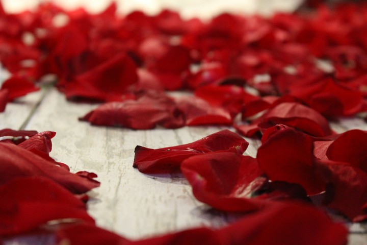 Rose Petals