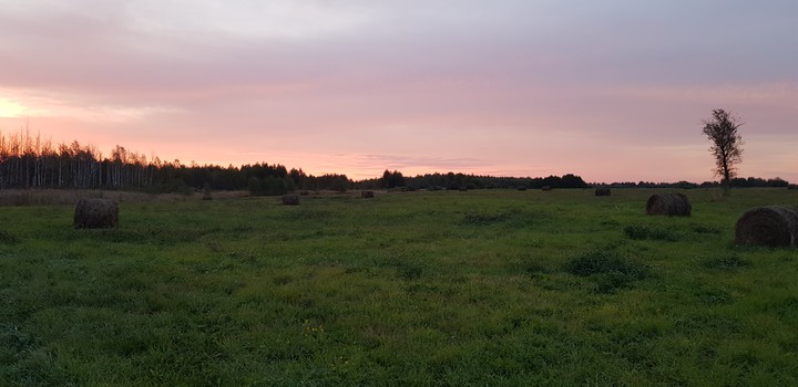 Зорька
