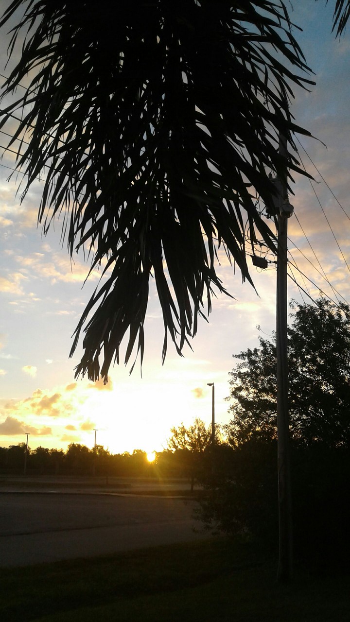 The beauty of God.