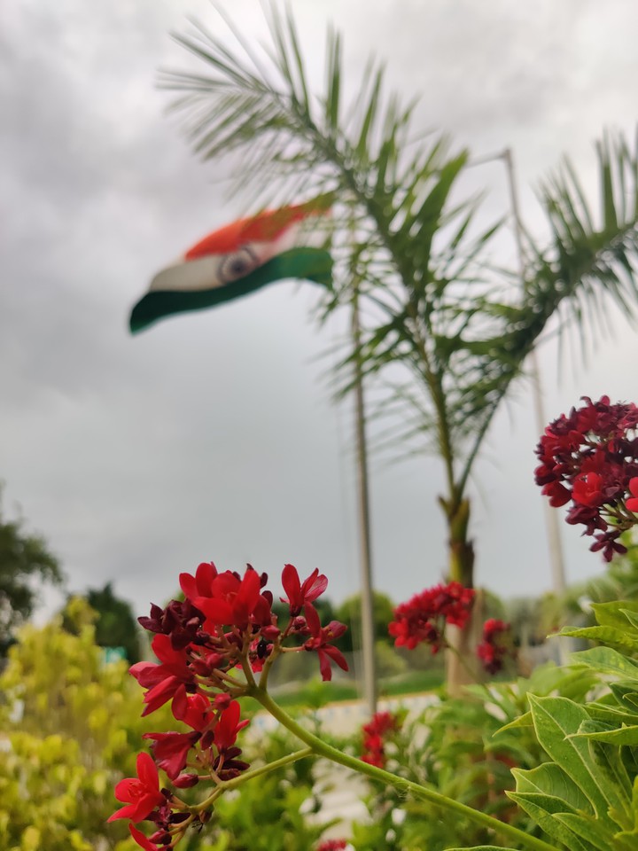 Salute to Indian soldiers