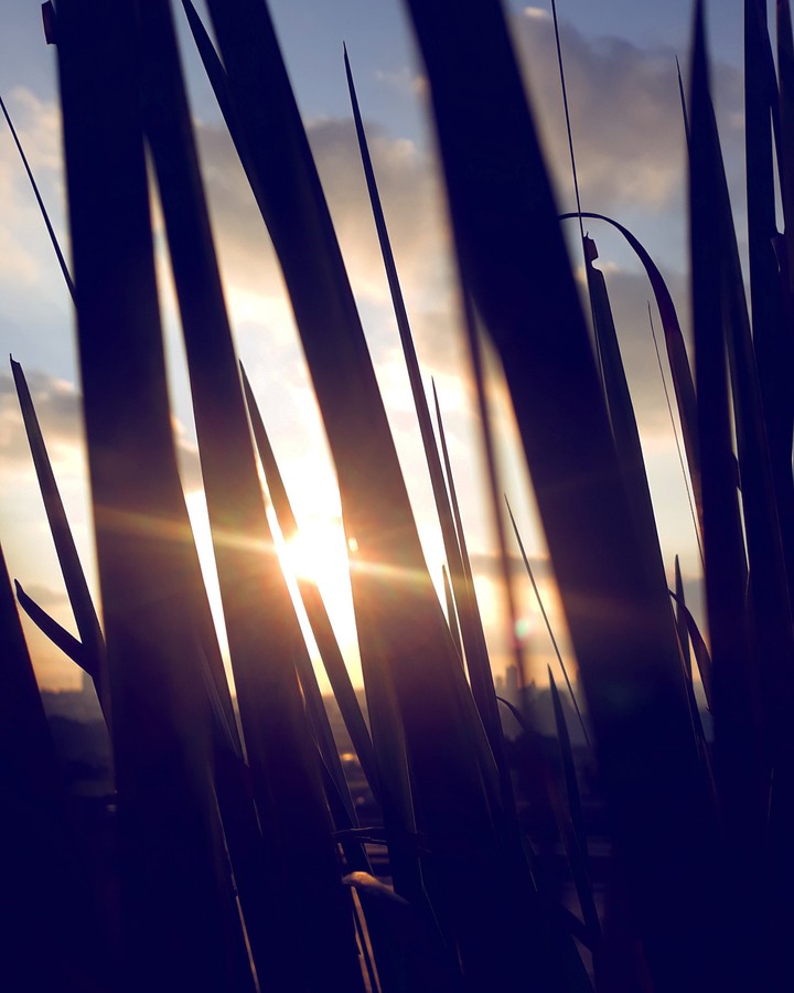 entre sombras