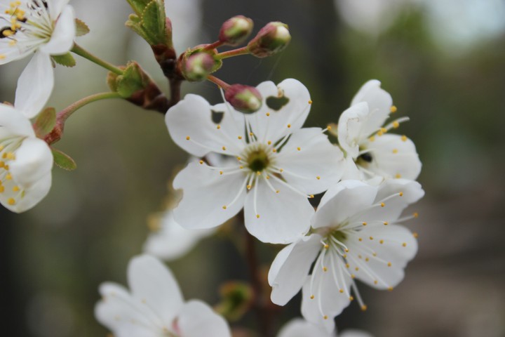 May