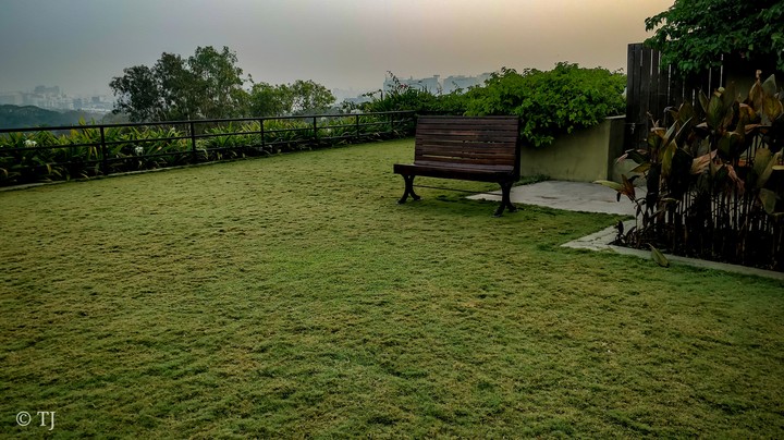 7th floor Garden @Hyatt