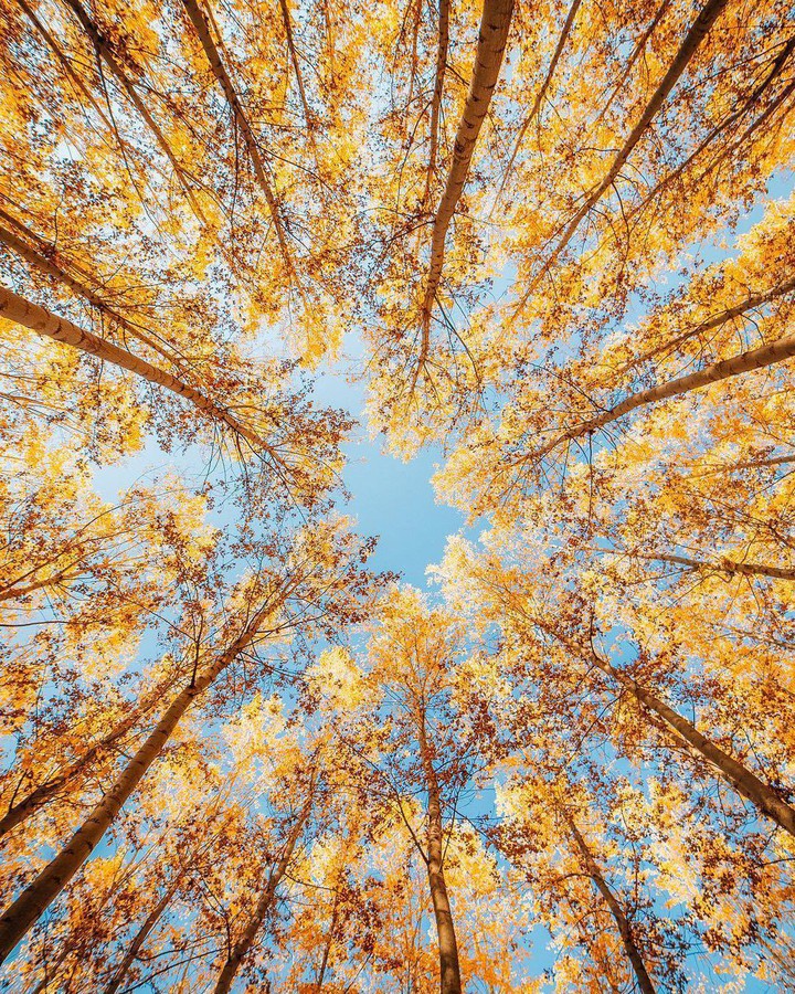 autumn