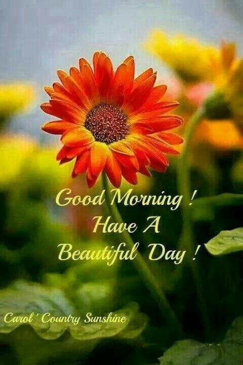good morning