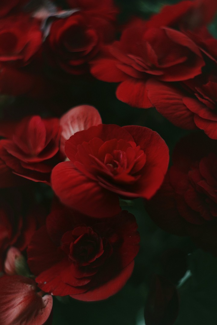 Red inspiration