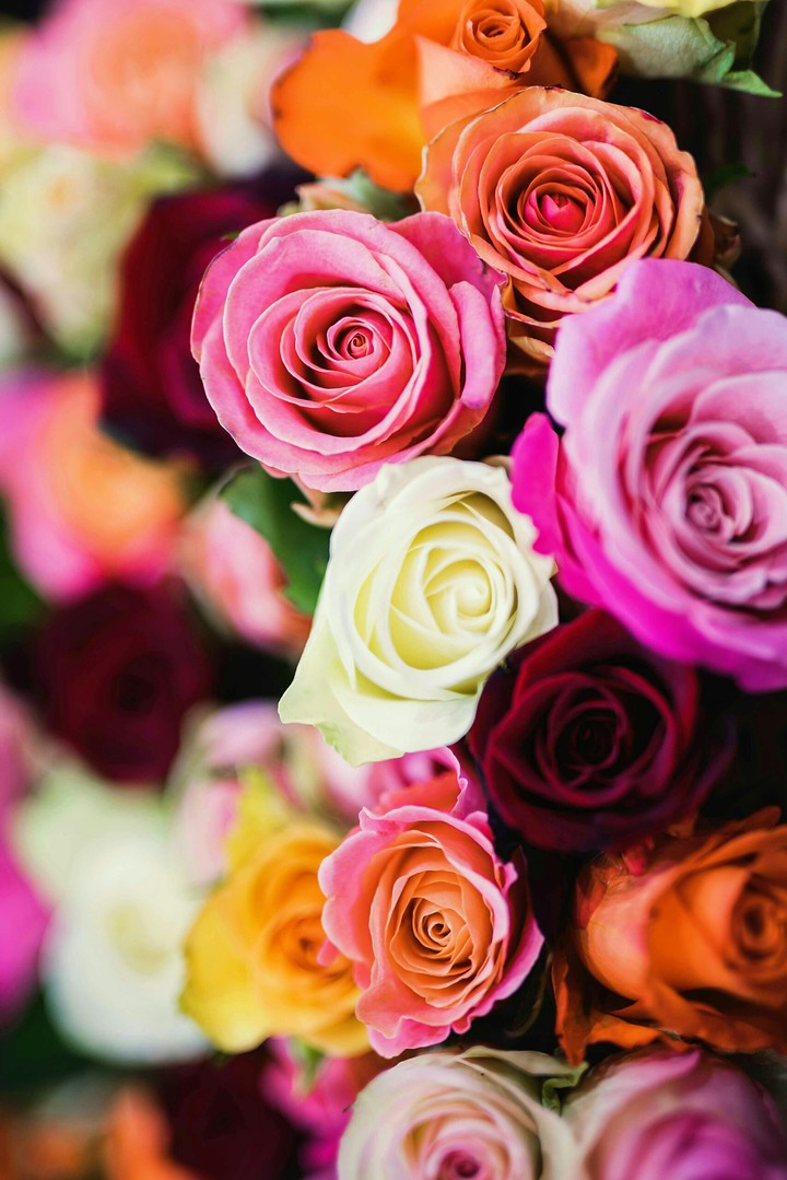 beautiful like you ...