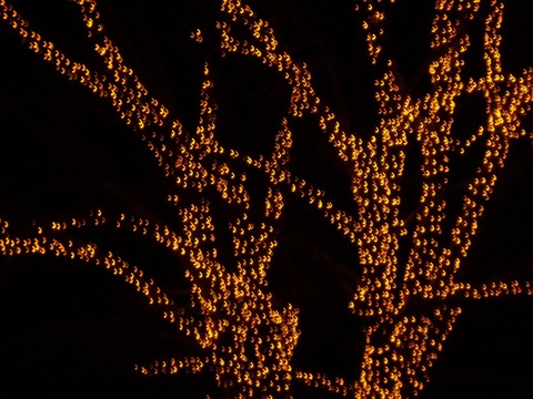 lights
