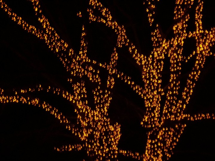 lights