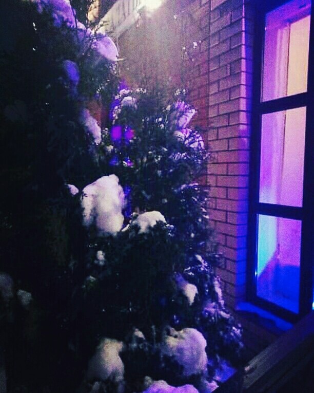 Violet