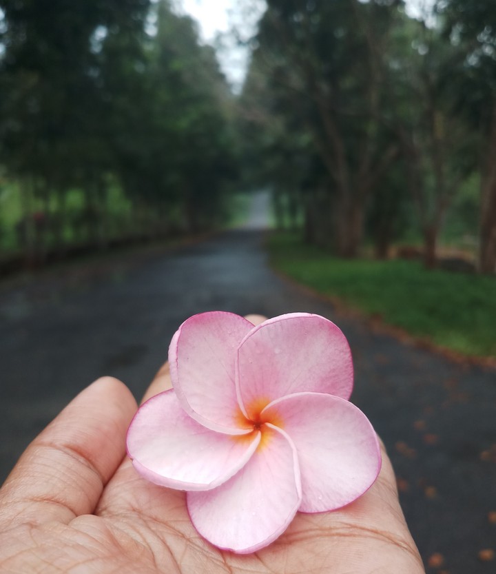 love for you
