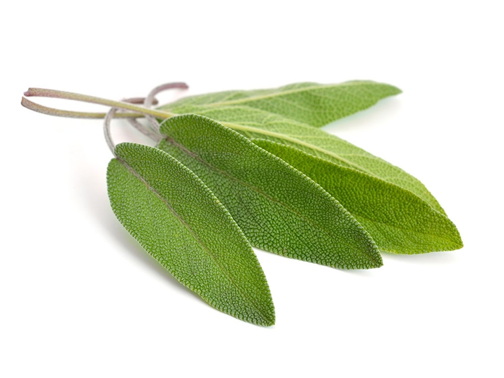Sage