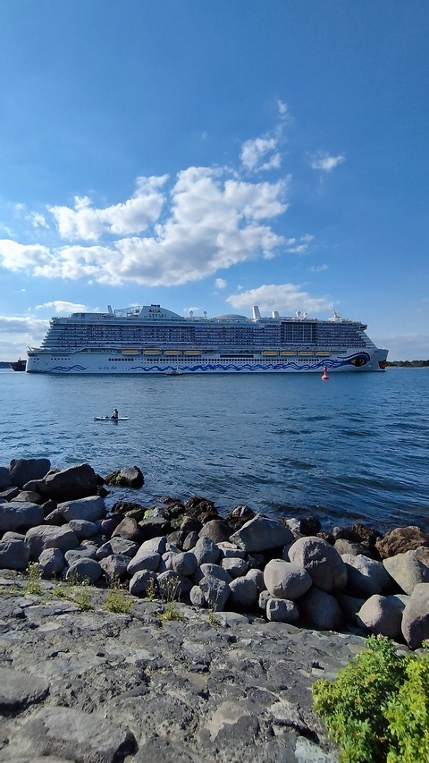 AIDA