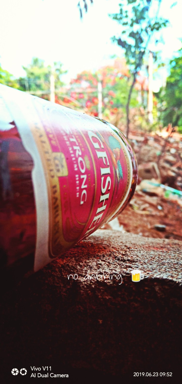 beer