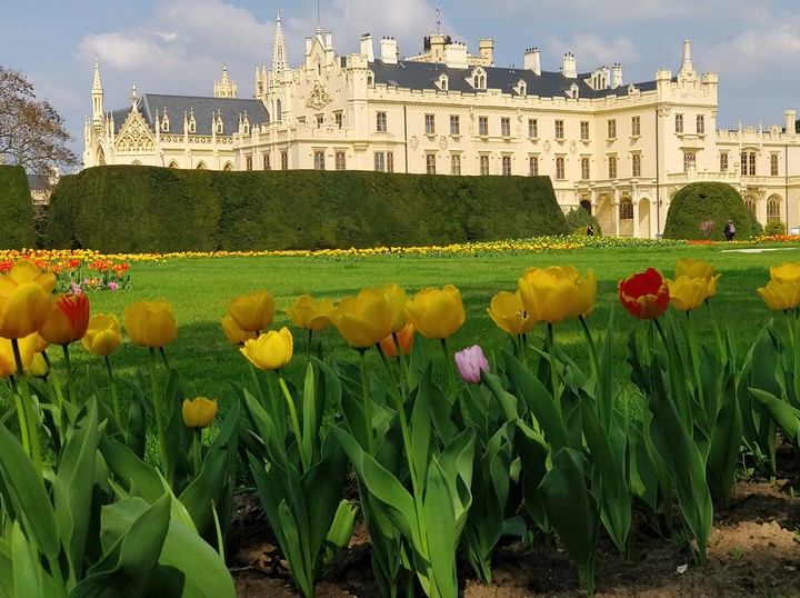 Lednice Castle, Morava