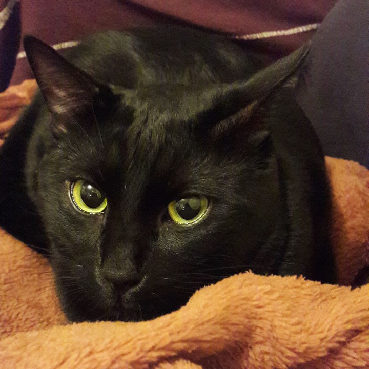 Rocky