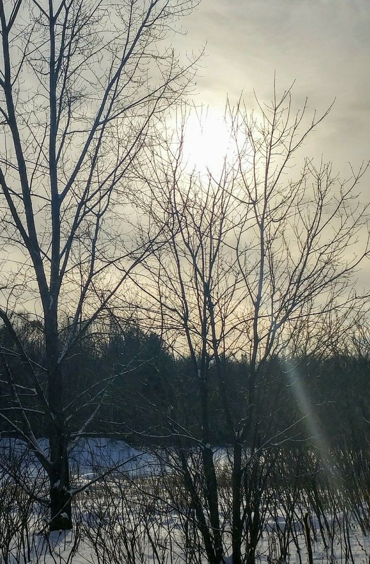 Cold sun