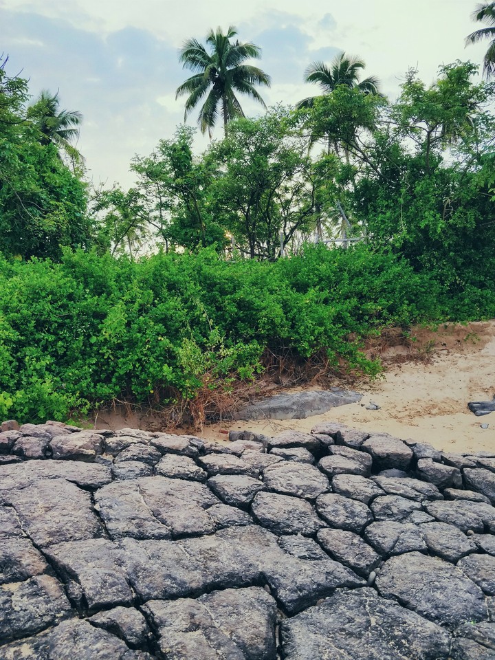 greenery