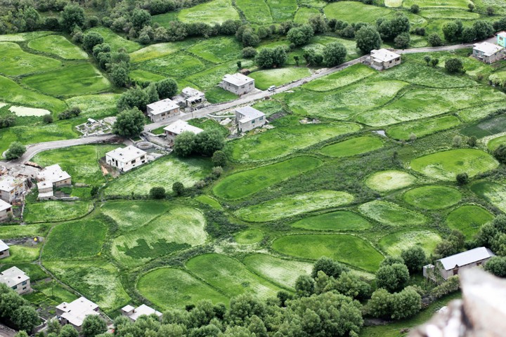 A green world