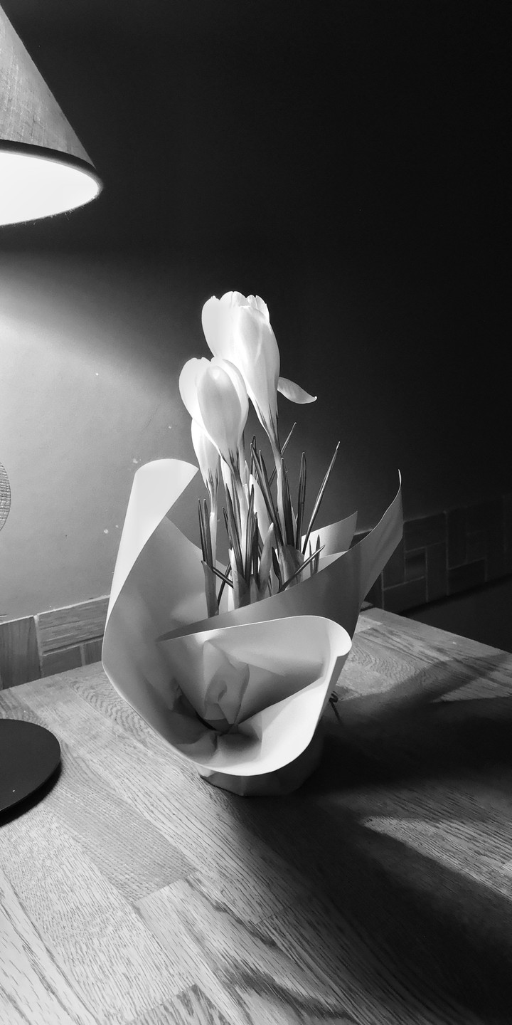 black flower