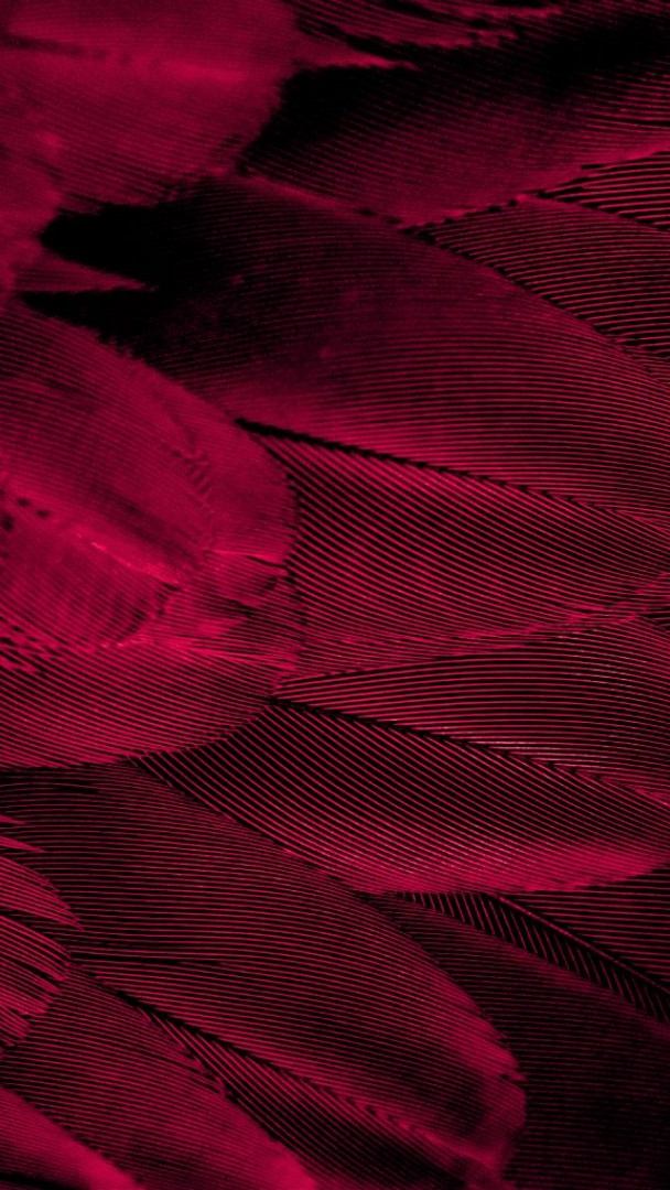 red wing