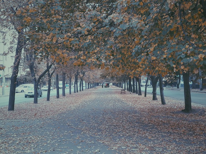 autumn