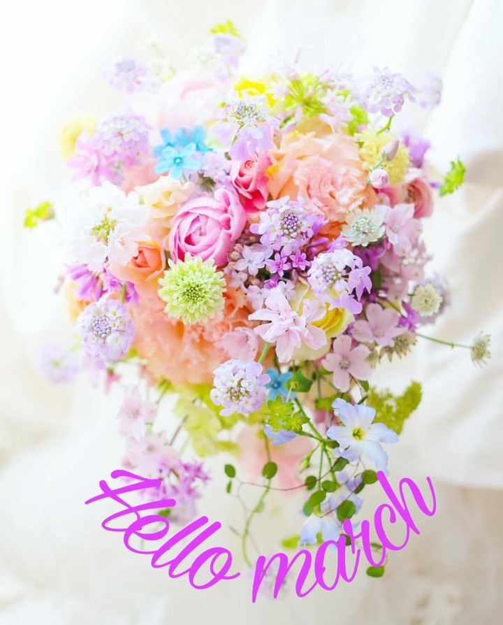 Hello March