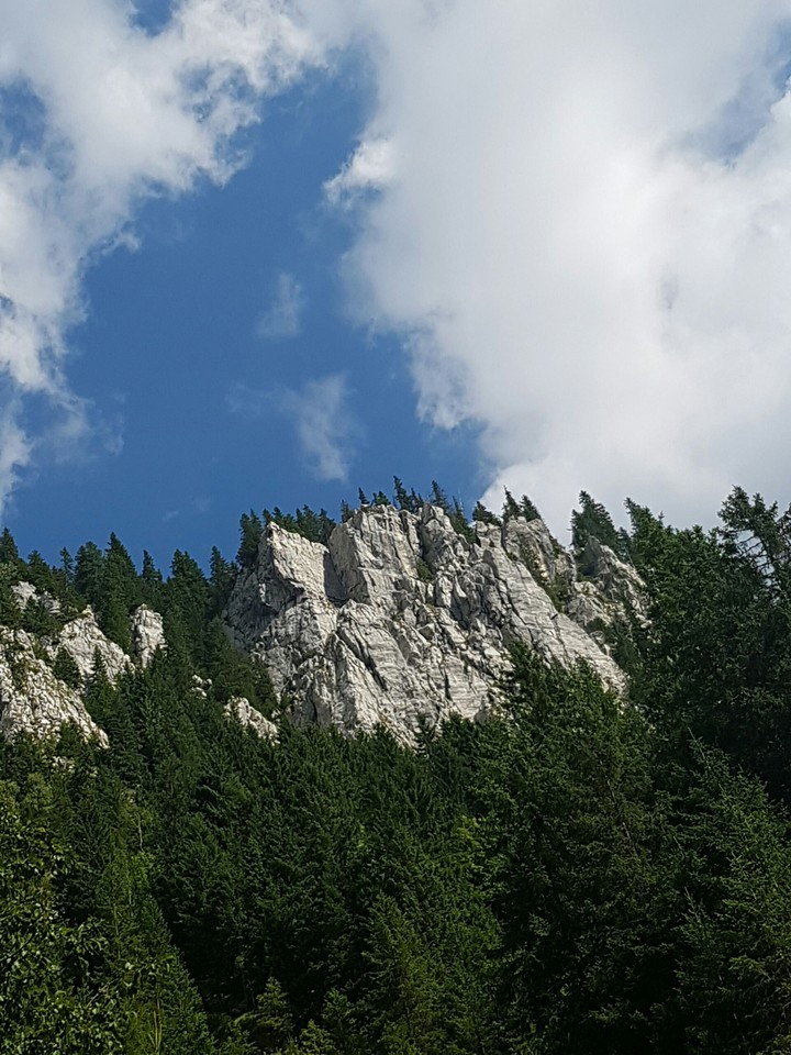 Mountain Bucegi