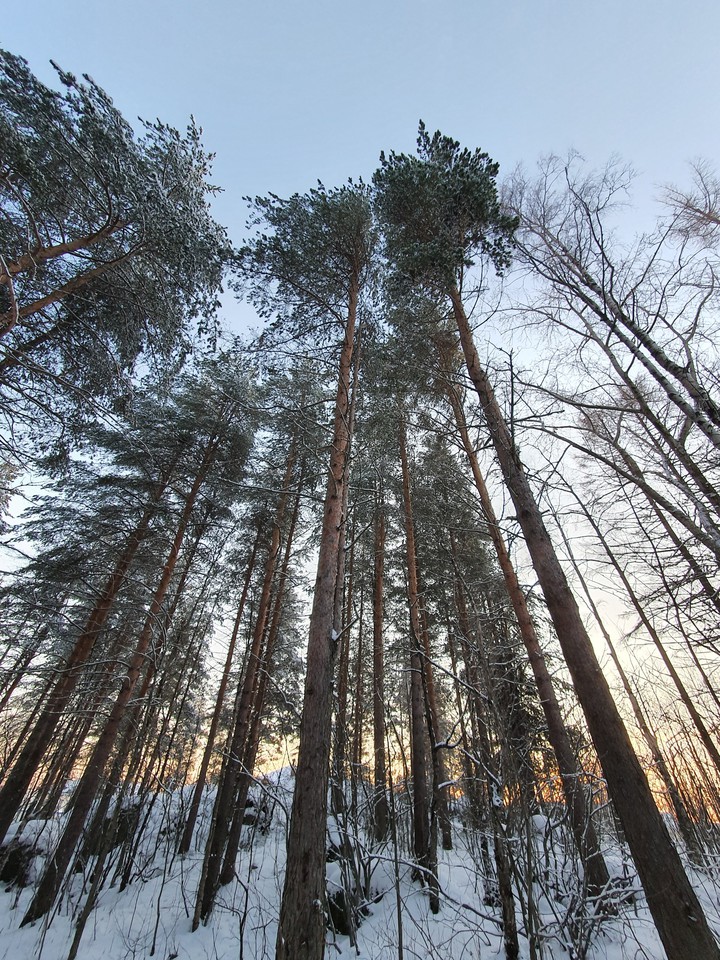 декабрь6