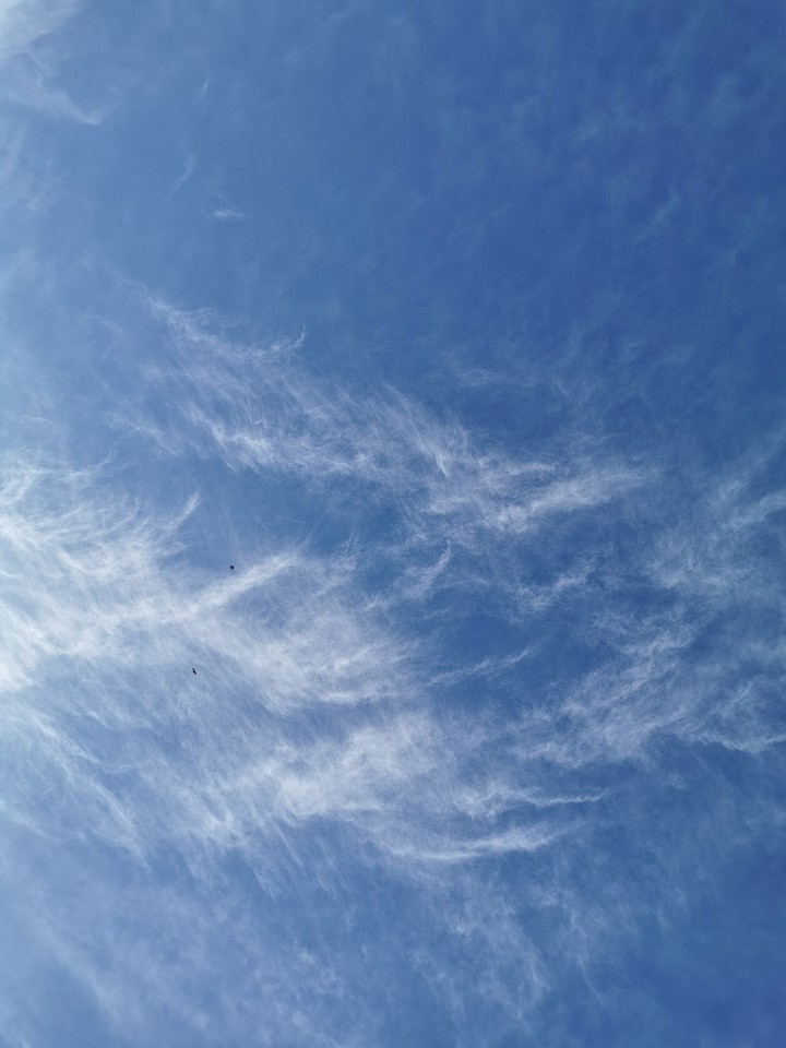 Blue sky