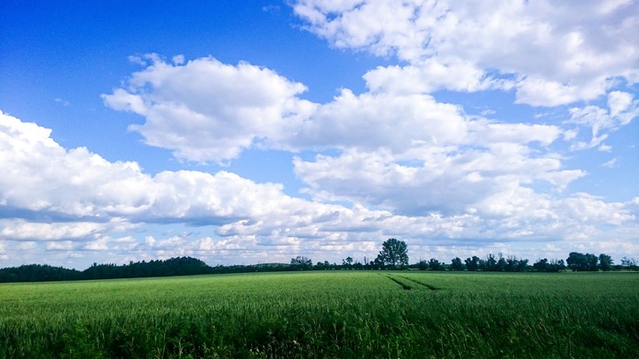 Endless sky