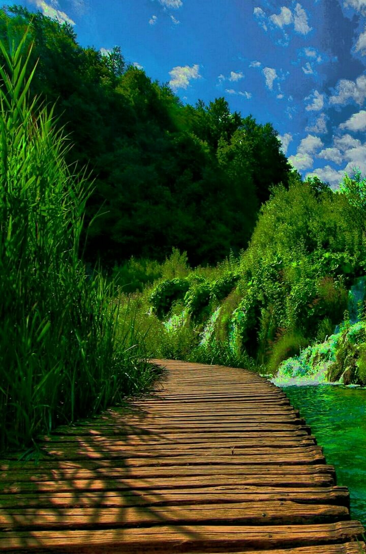 Green place