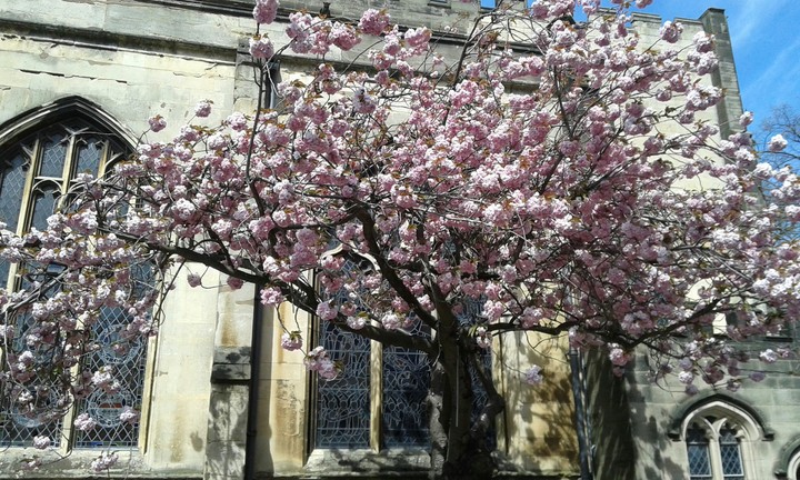 Coventry