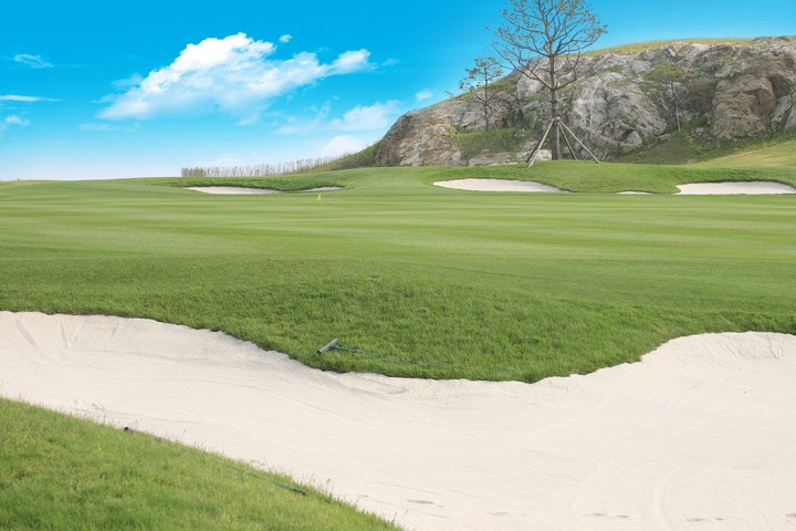 Golf Course
