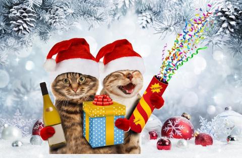 navidad