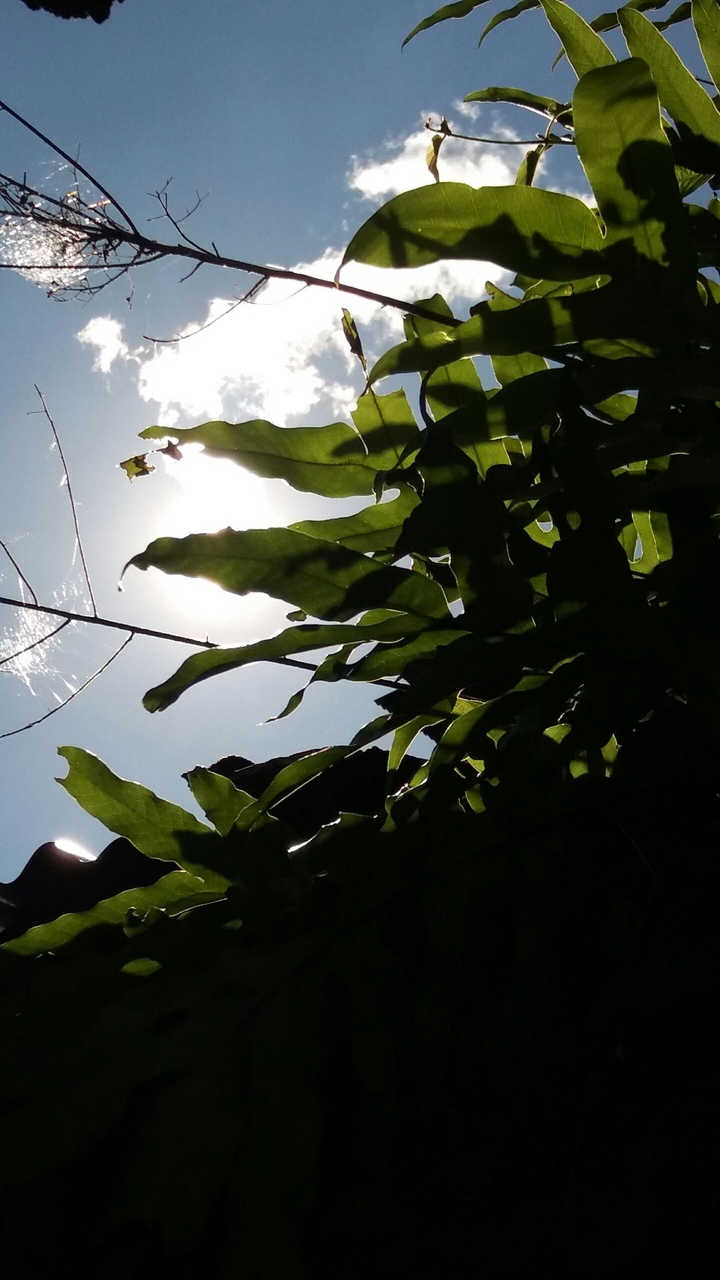 Beauty of nature